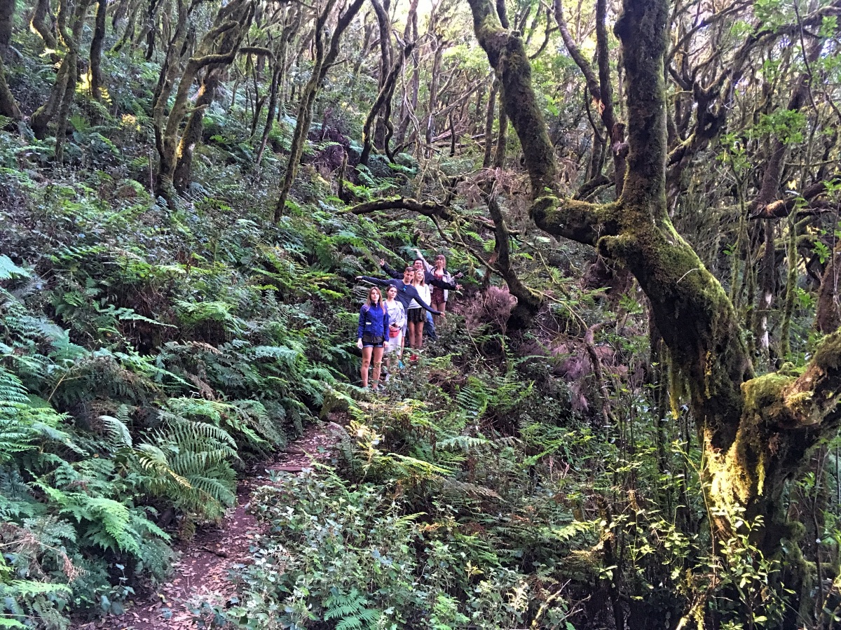 Garajonay La Gomera