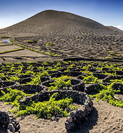 Lanzarote